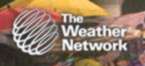 The weather